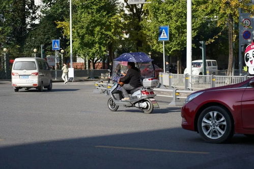 宝兴县规范电动三轮与四轮车管理 上路需持证上牌，强化生产源头治理