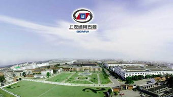 关于通报严重违规的二十家车辆生产企业的决定